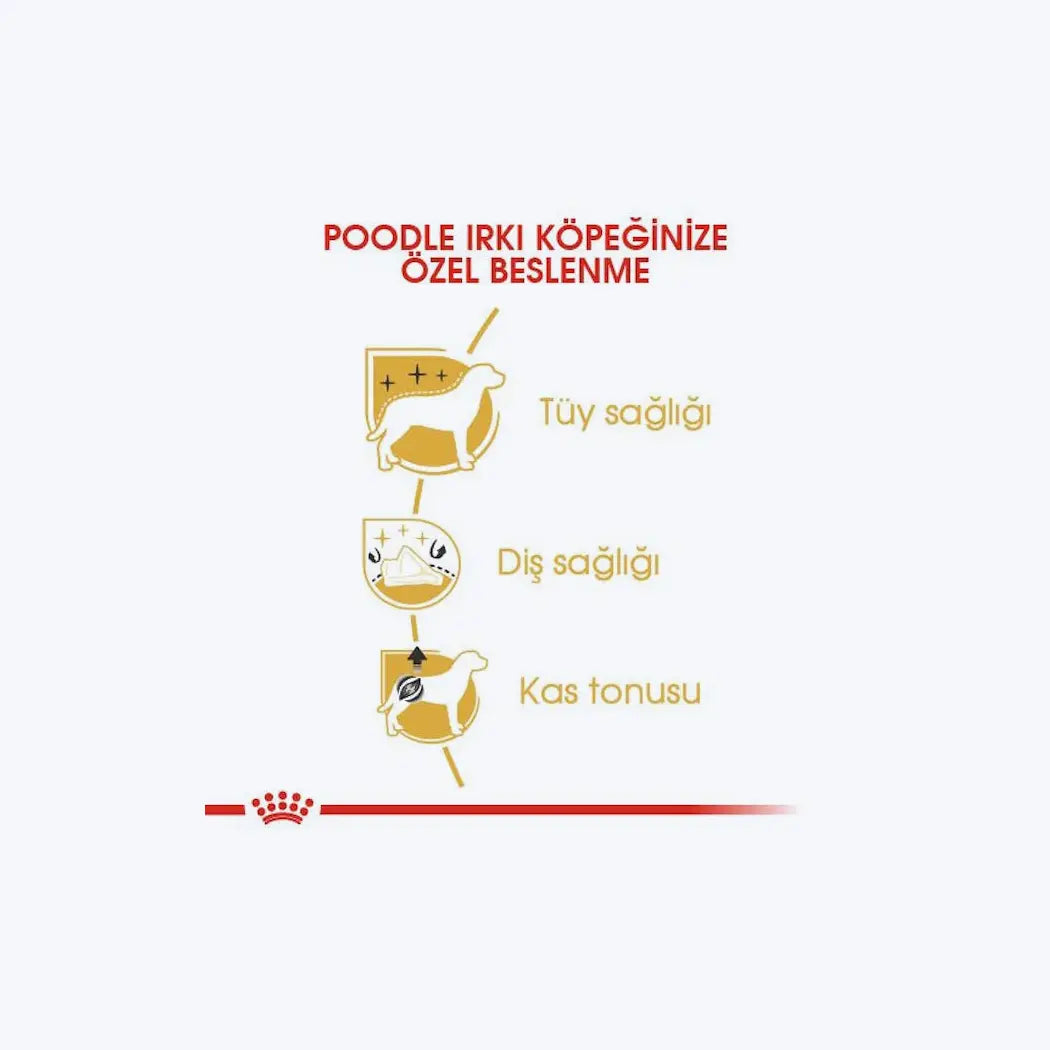 ROYAL CANIN® Poodle Adult