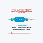Royal Canin Poodle Puppy