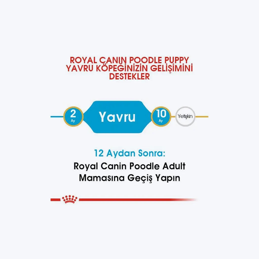 Royal Canin Poodle Puppy