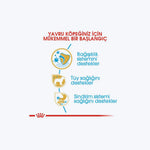 Royal Canin Poodle Puppy