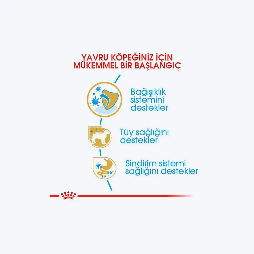 Royal Canin Poodle Puppy