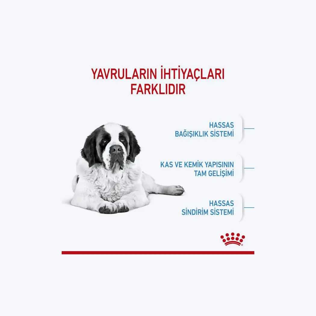 ROYAL CANIN® Giant Junior