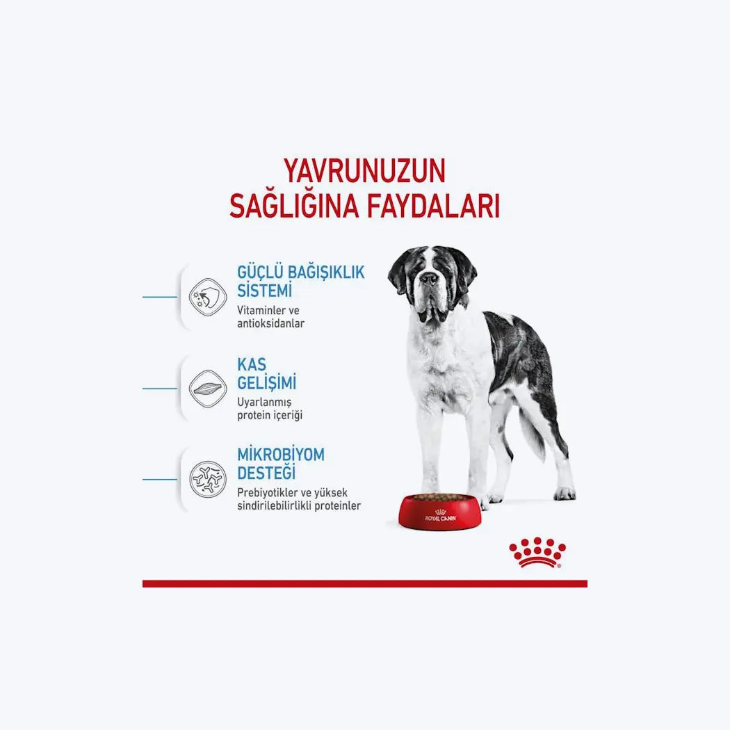 ROYAL CANIN® Giant Junior