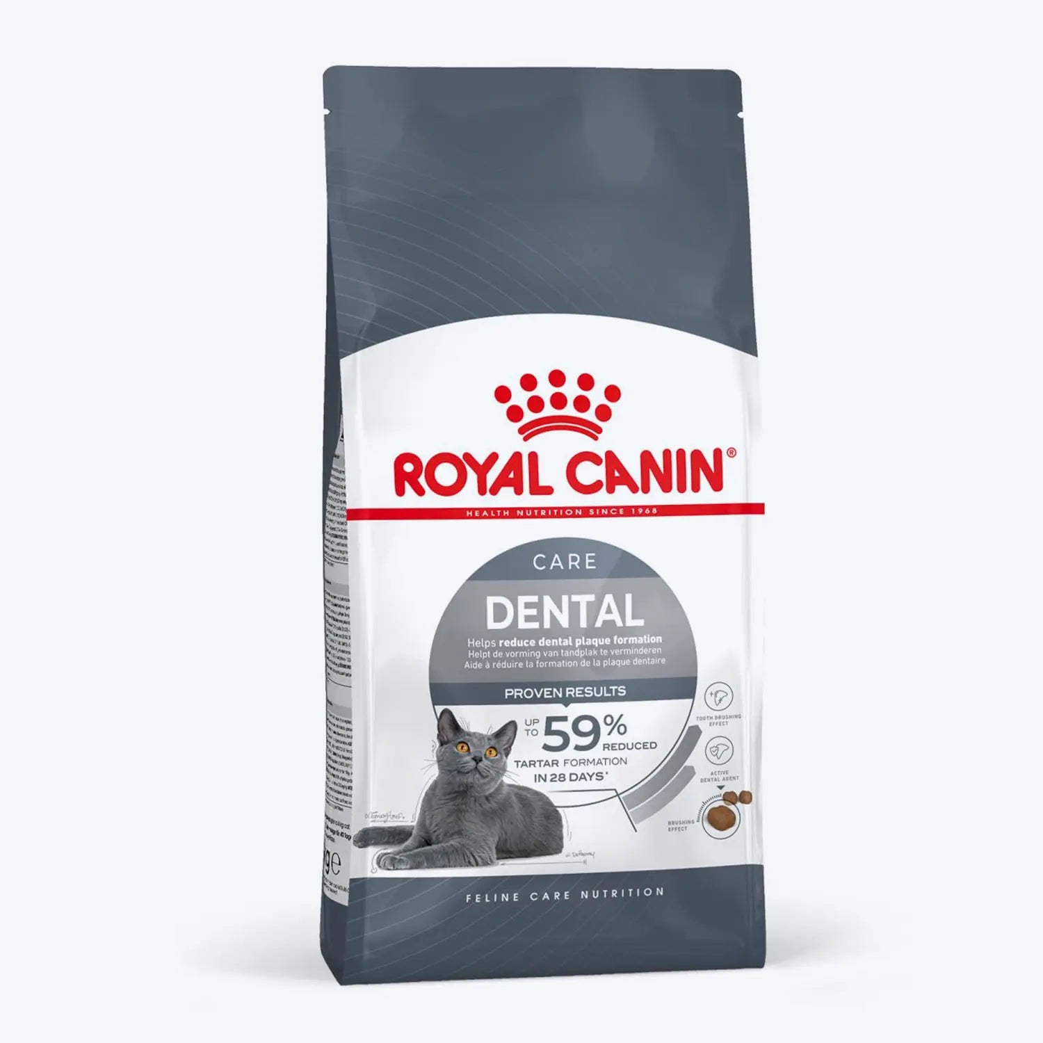 Dental Care