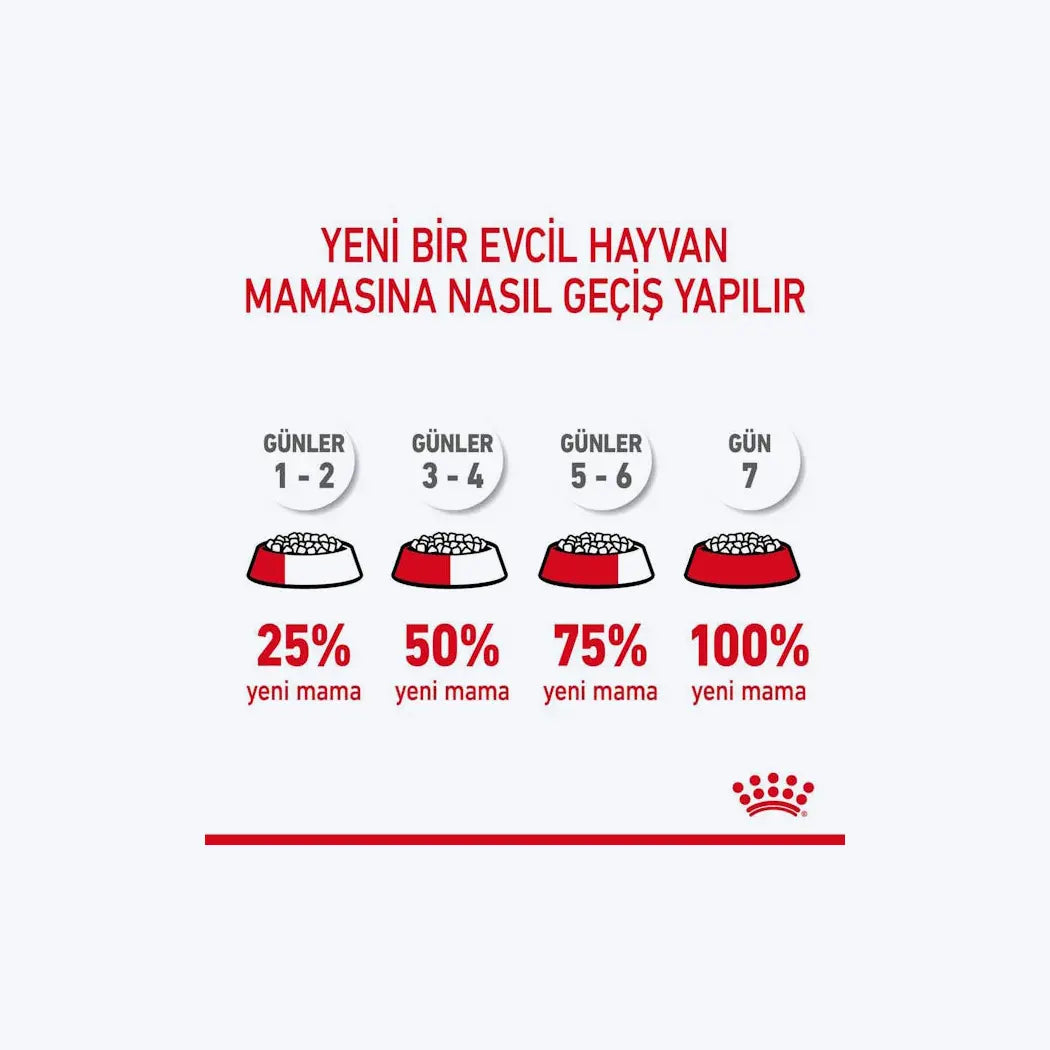 Royal Canin Hair&Skin Hassas Tüylü Kedi Maması 