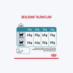 Royal Canin Hairball Tüy Yumağı Önleyici Yetişkin Kedi Maması