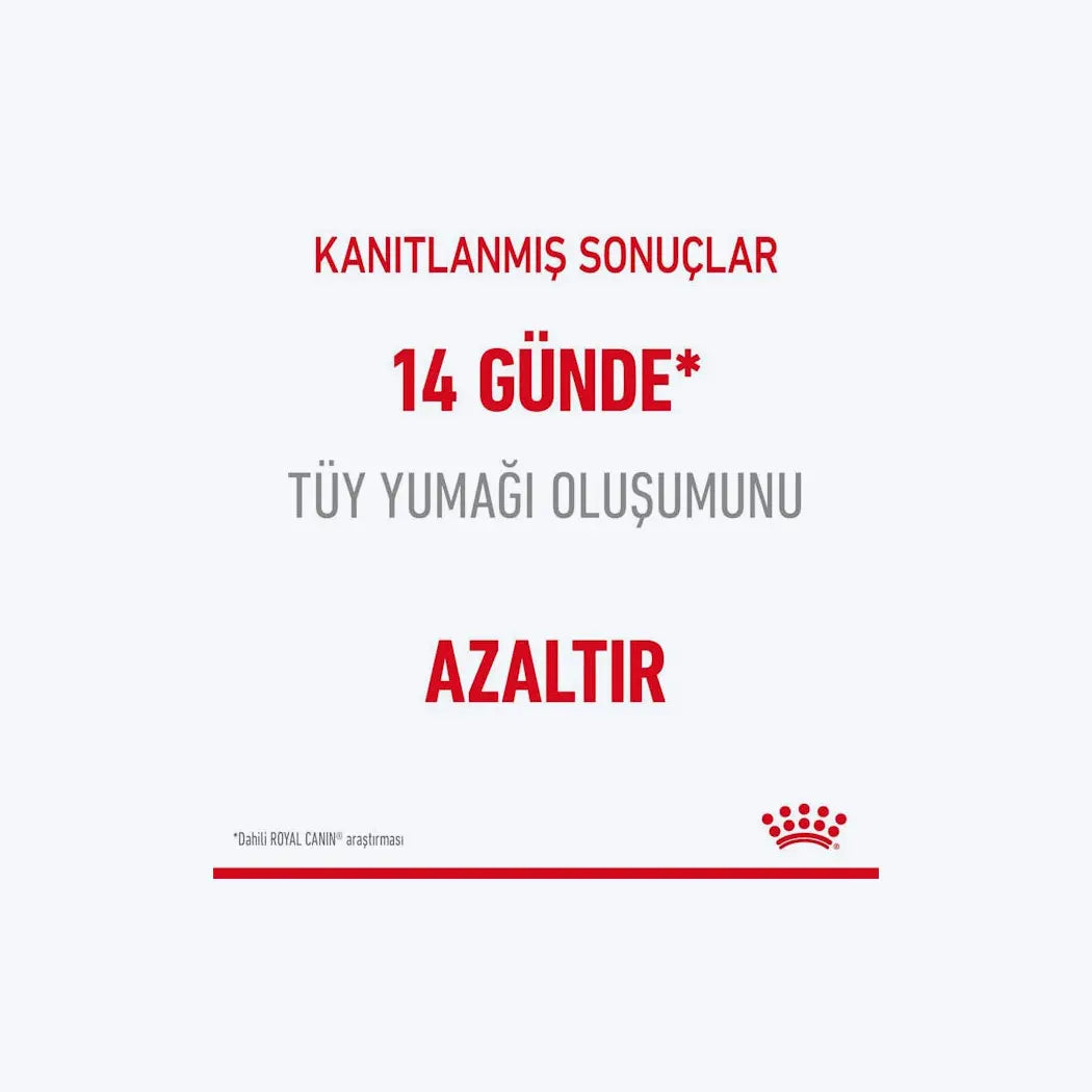 Royal Canin Hairball Tüy Yumağı Önleyici Yetişkin Kedi Maması