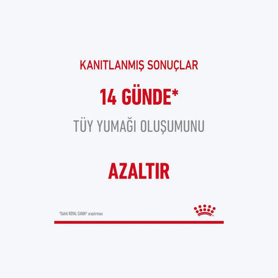 Royal Canin Hairball Tüy Yumağı Önleyici Yetişkin Kedi Maması