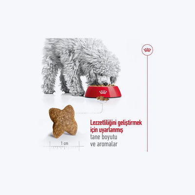 Royal Canin Mini Adult Küçük Irk Yetişkin Köpek Maması