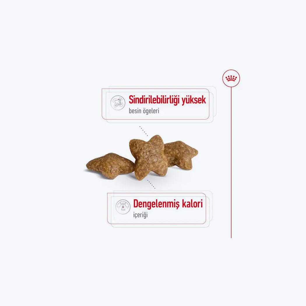 Royal Canin Mini Adult Küçük Irk Yetişkin Köpek Maması