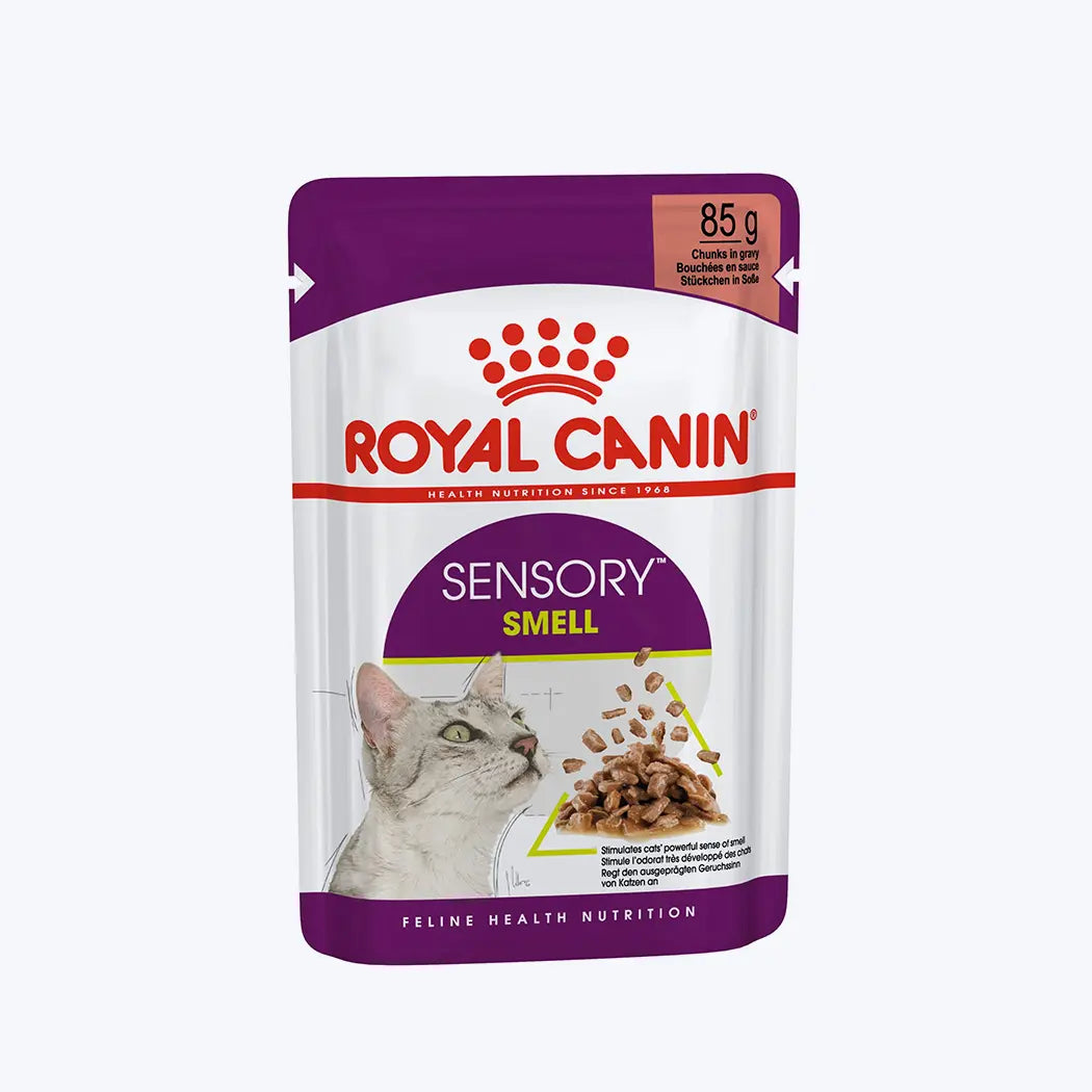 Royal Canin Sensory Smell Gravy Yetişkin Kedi Yaş Maması