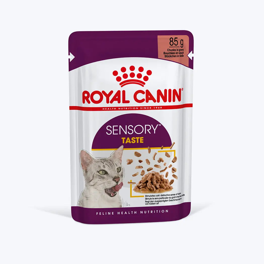 Royal Canin Sensory Taste Yetişkin Kedi Yaş Maması