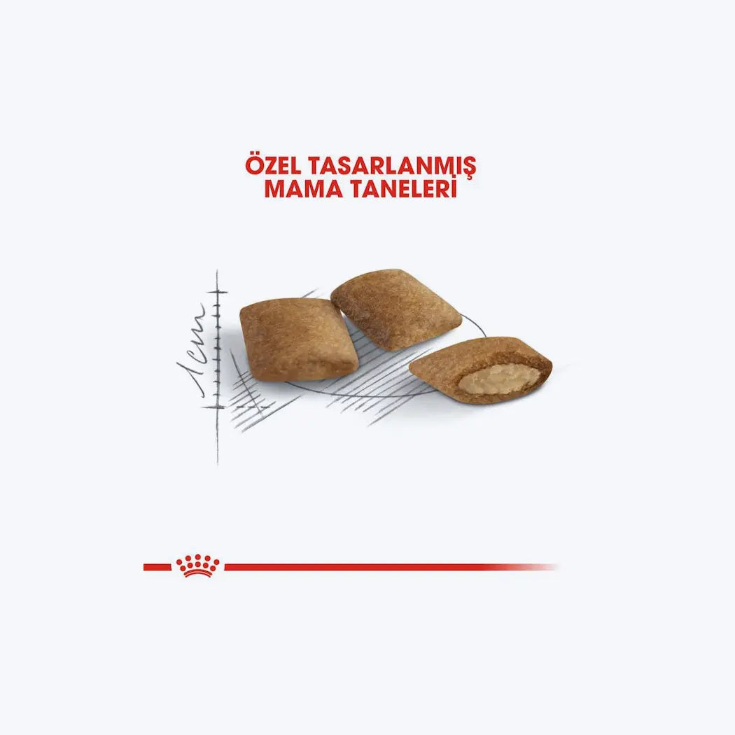 Royal Canin Ageing +12 Yaş Üzeri Yaşlı Kedi Maması