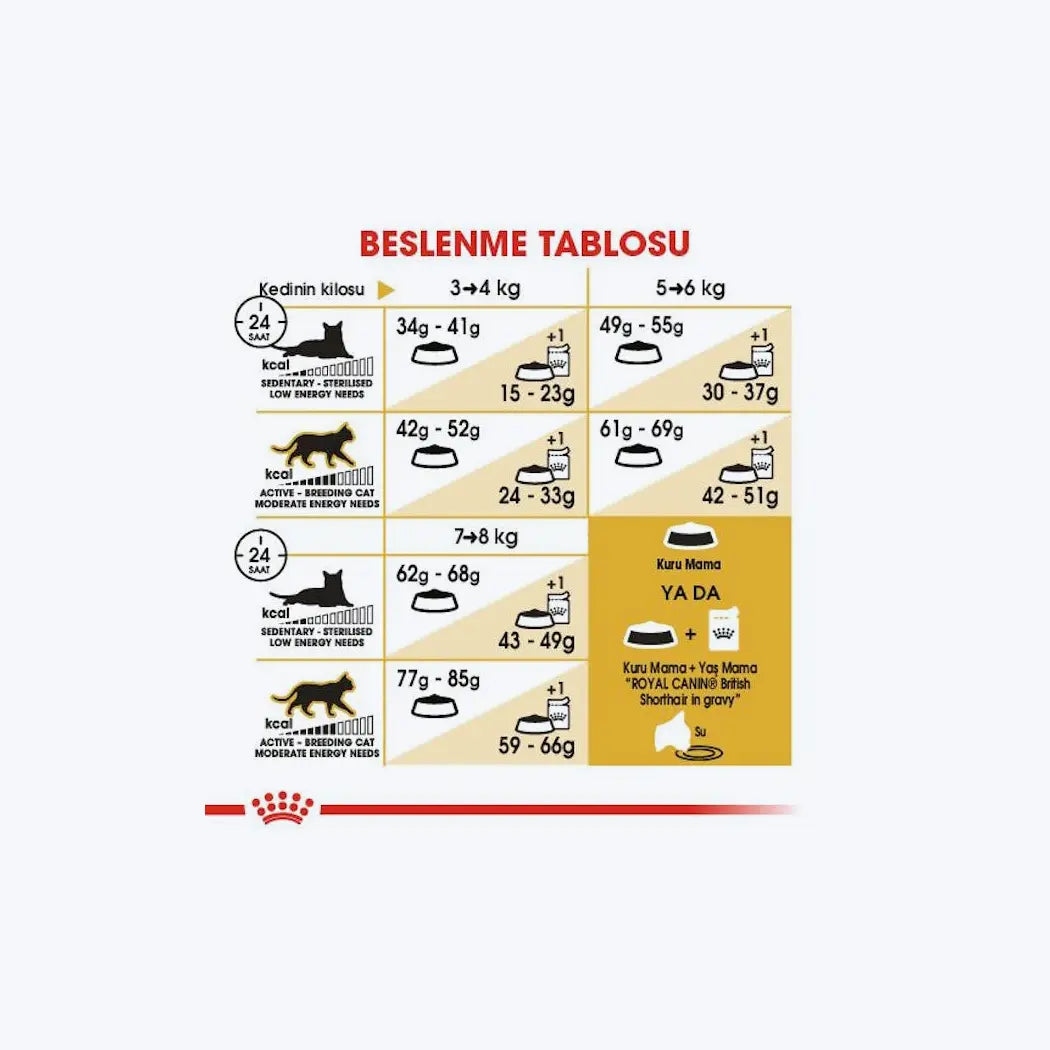 Royal Canin British Shorthair Yetişkin Kedi Maması