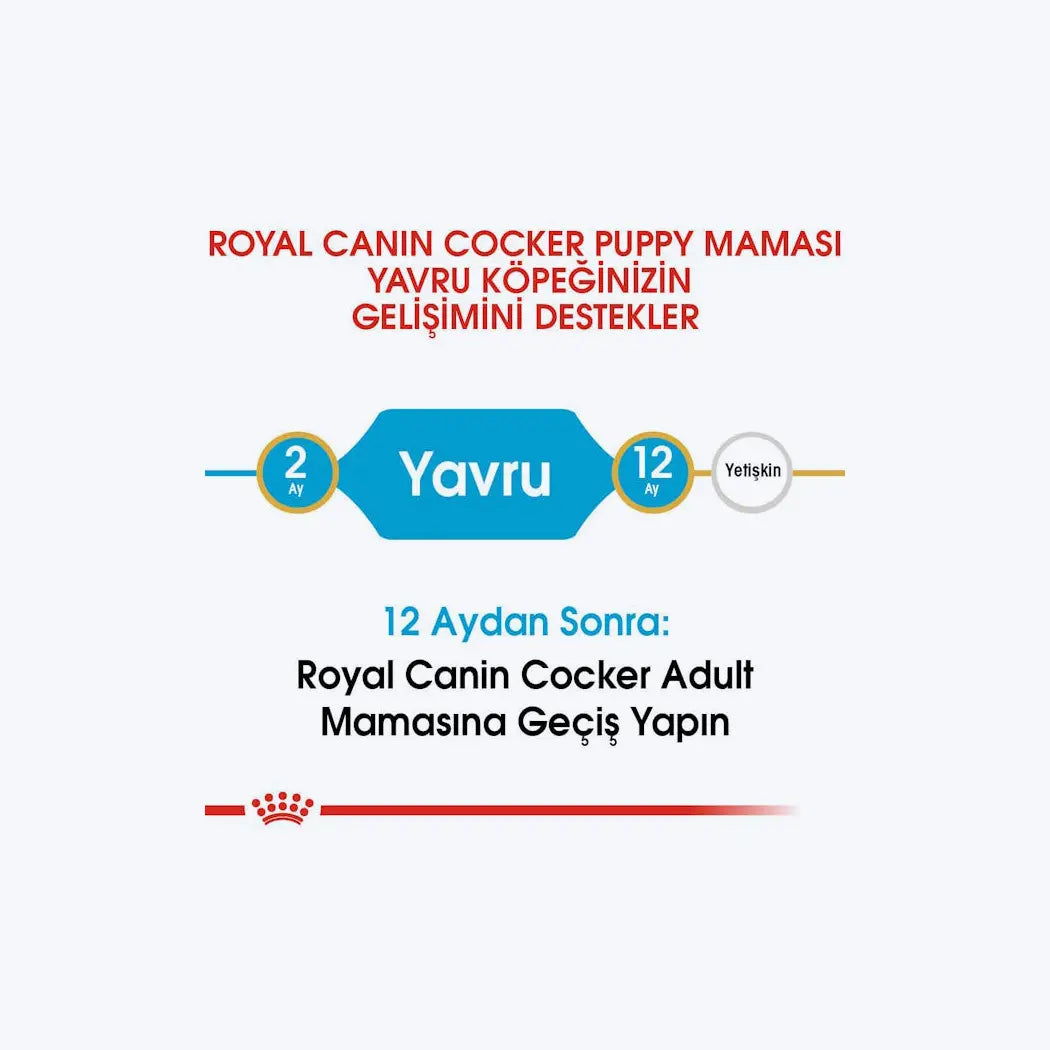 Royal Canin Cocker Puppy