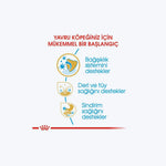 Royal Canin Cocker Puppy