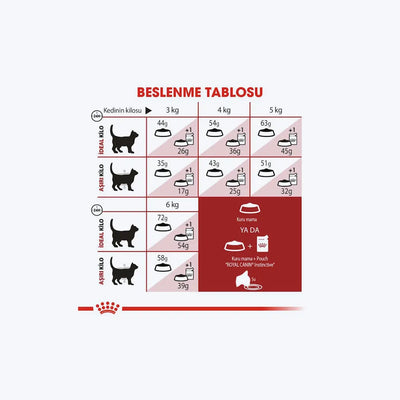 Royal Canin Fit 32 Yetişkin Kedi Maması