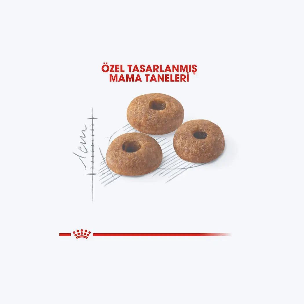Royal Canin Fit 32 Yetişkin Kedi Maması