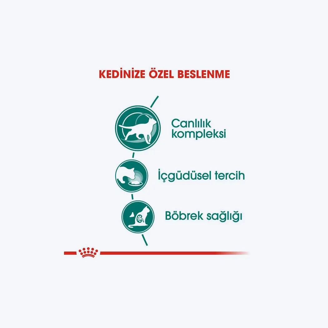 Royal Canin Instictive +7
