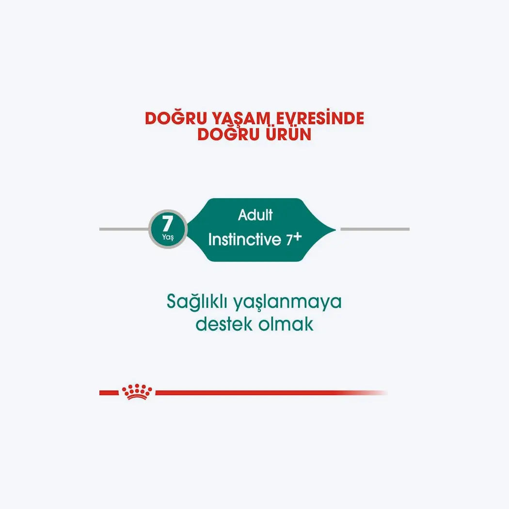 Royal Canin Instictive +7 
