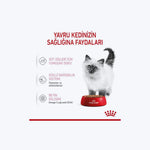 Royal Canin Kitten Gravy