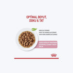 Royal Canin Kitten Gravy
