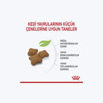 Royal Canin Kitten Sterilised Kısırlaştırılmış Yavru Kedi Maması