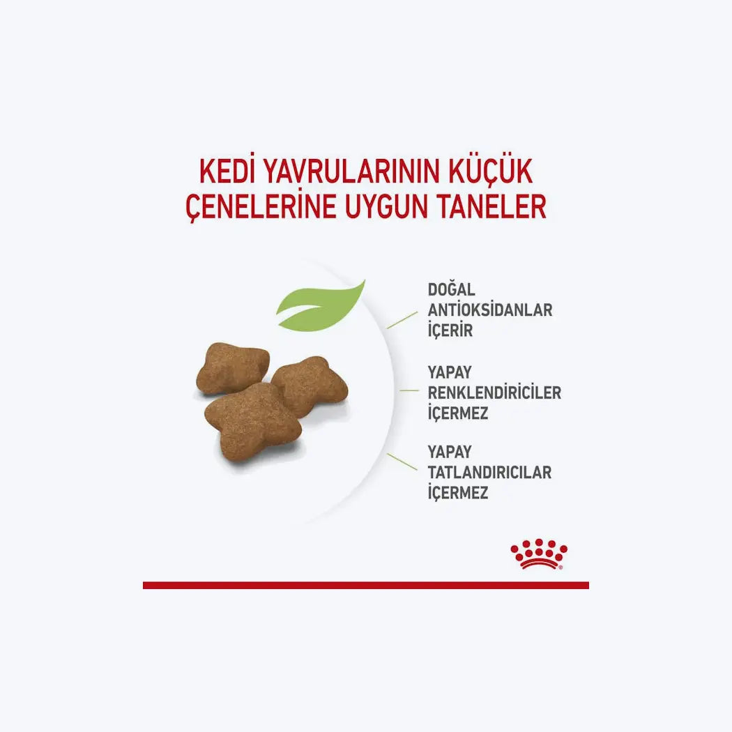 Royal Canin Kitten Sterilised Kısırlaştırılmış Yavru Kedi Maması