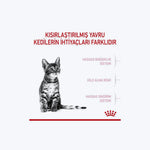 Royal Canin Kitten Sterilised Kısırlaştırılmış Yavru Kedi Maması