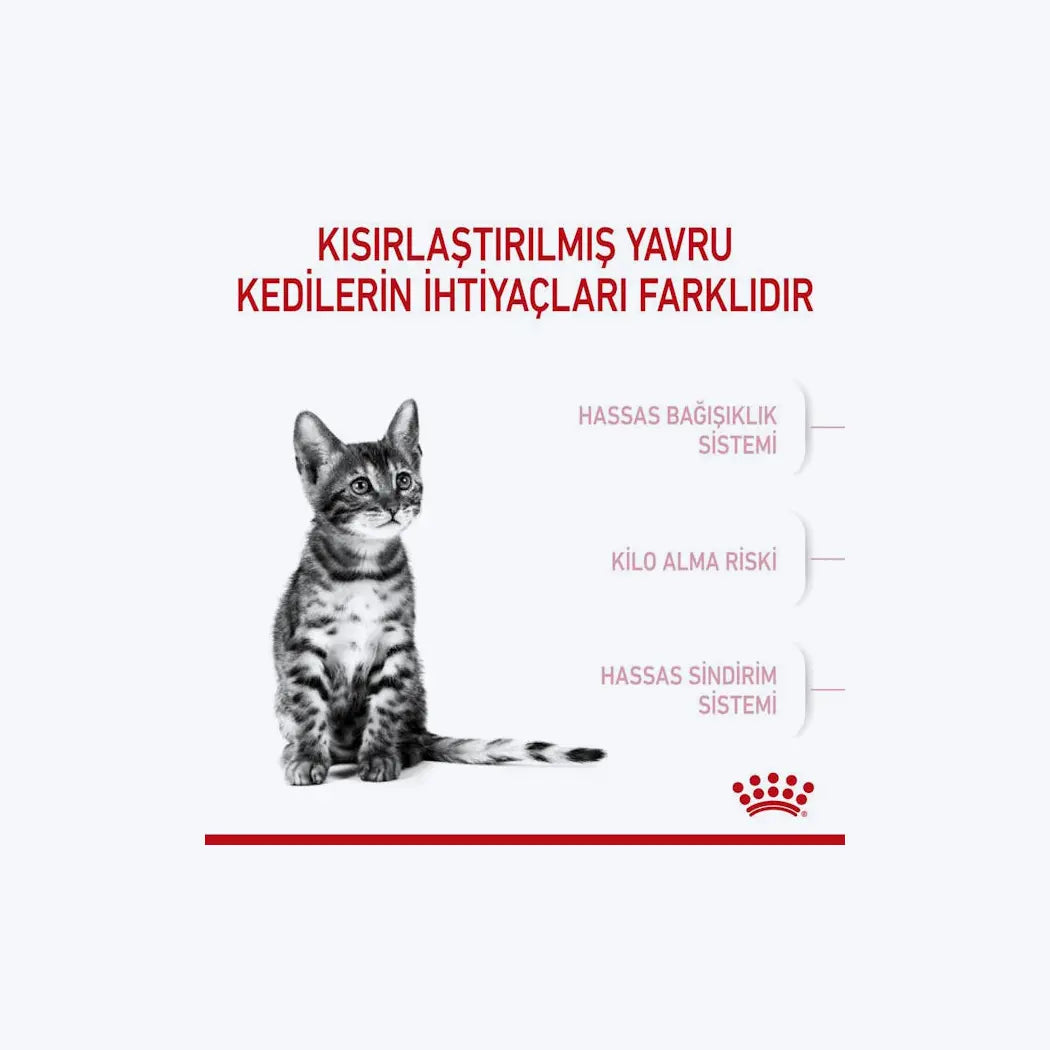 Royal Canin Kitten Sterilised Kısırlaştırılmış Yavru Kedi Maması