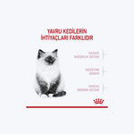 Royal Canin Kitten Yavru Kedi Maması