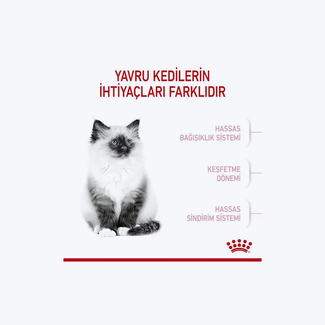Royal Canin Kitten Yavru Kedi Maması