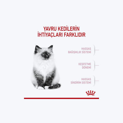 Royal Canin Kitten Yavru Kedi Maması