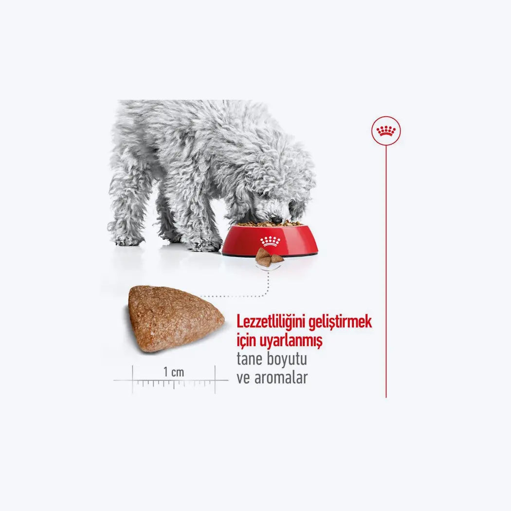 Royal Canin Mini Indoor Adult
