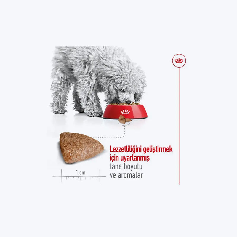 Royal Canin Mini Indoor Adult