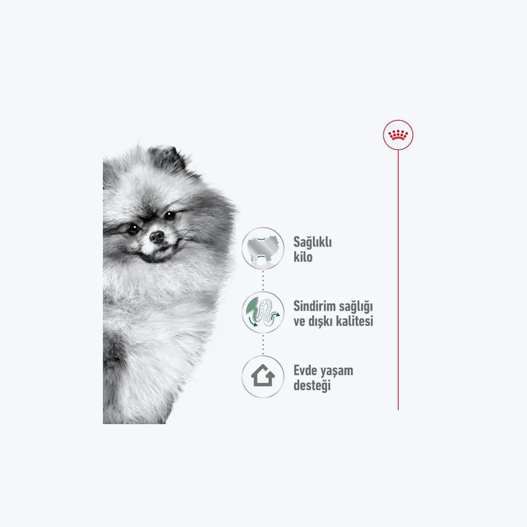 Royal Canin Mini Indoor Adult