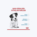 Royal Canin Mini Puppy