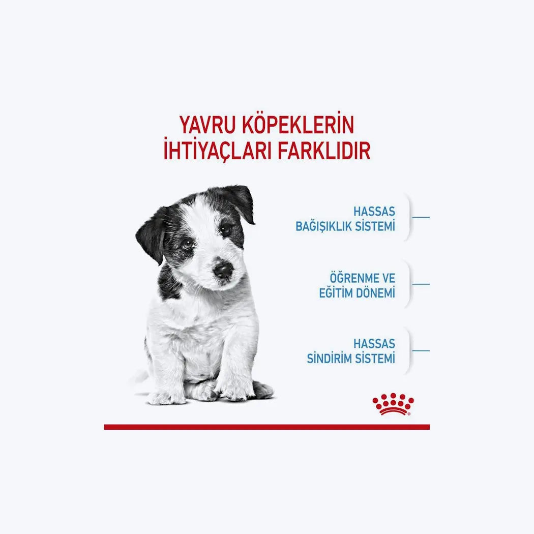 Royal Canin Mini Puppy