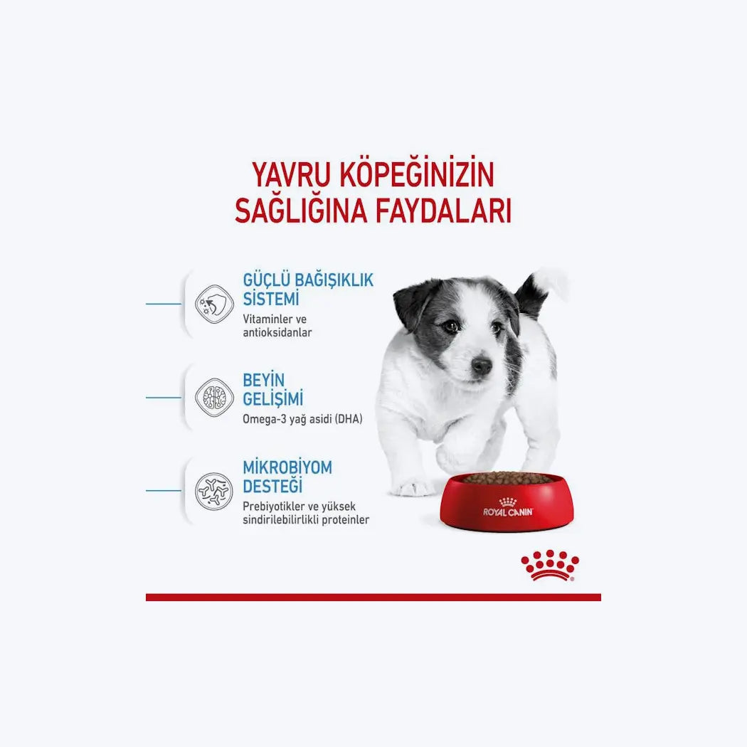 Royal Canin Mini Puppy