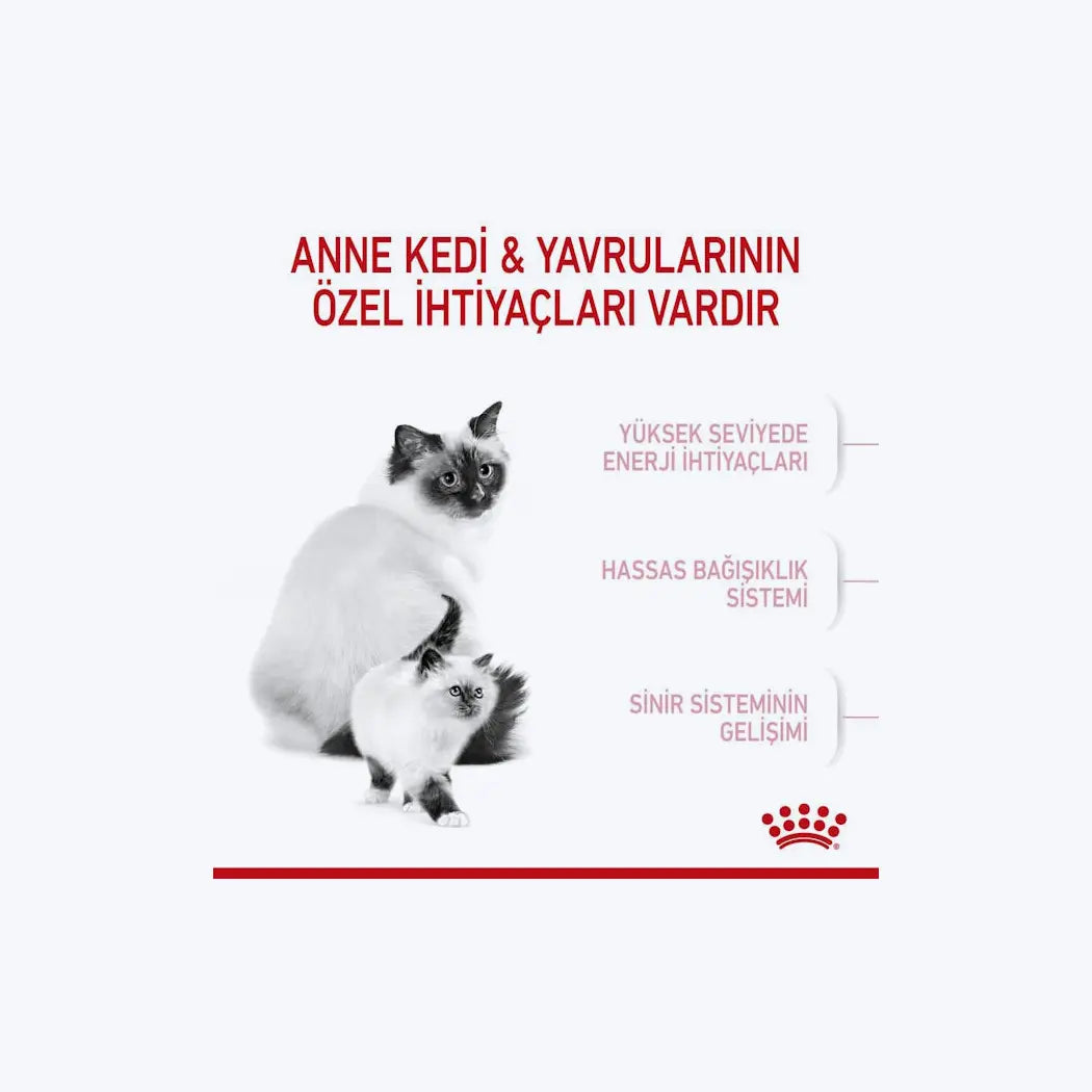 Royal Canin Mother & BabyCat Yavru Kedi Maması