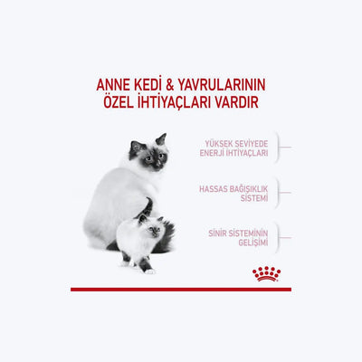 Royal Canin Mother & BabyCat Yavru Kedi Maması