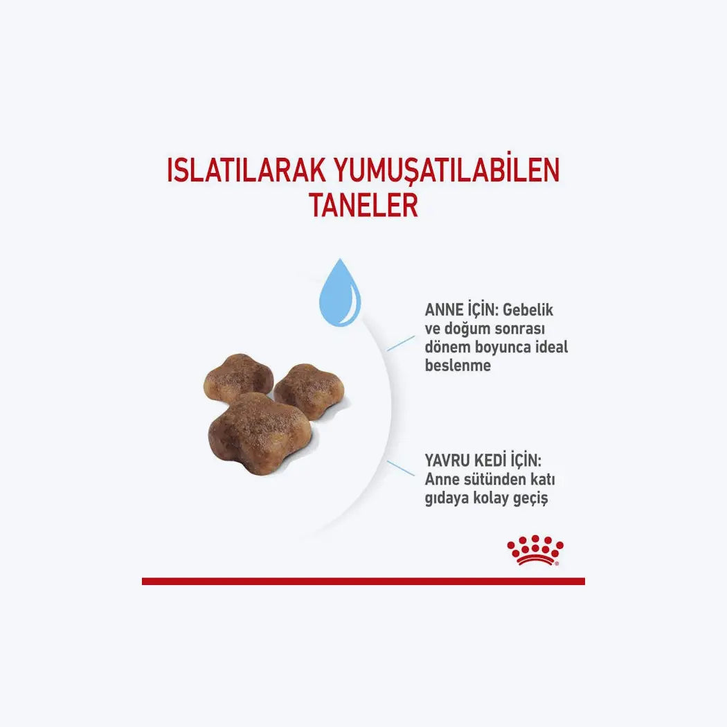 Royal Canin Mother & BabyCat Yavru Kedi Maması