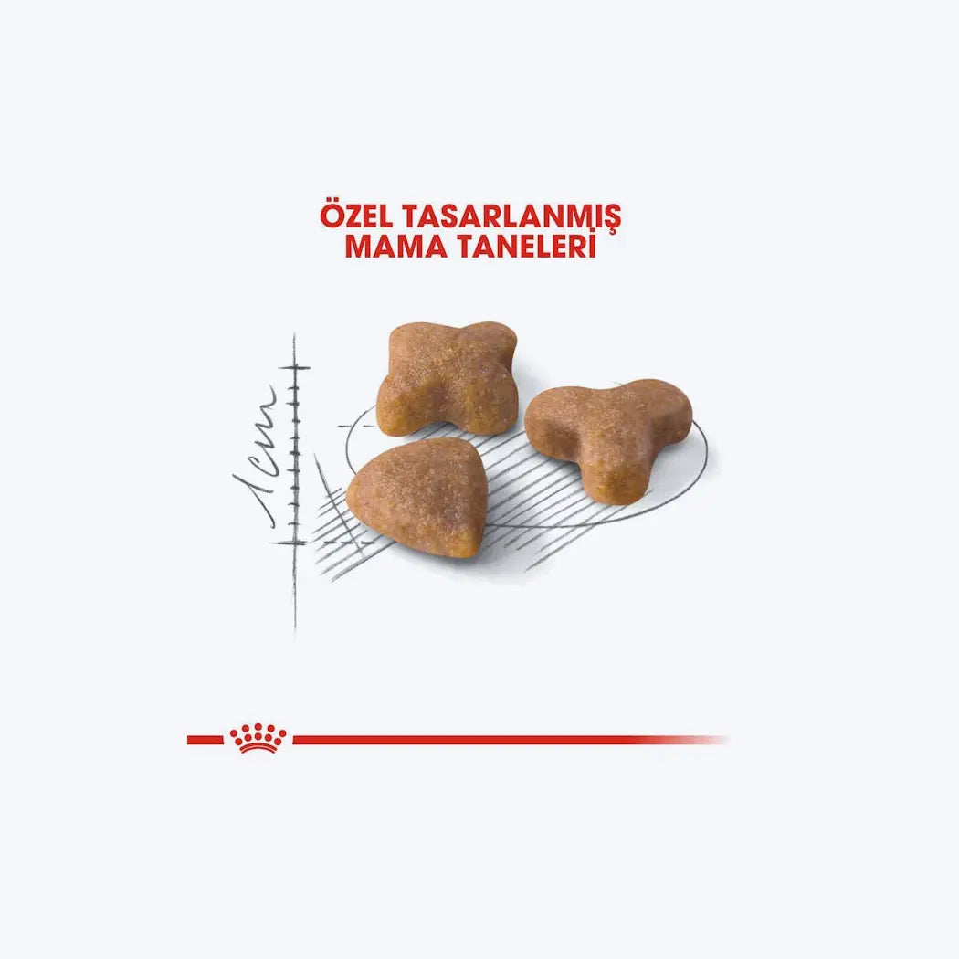 Royal Canin Sensible 33 Hassas Sindirim Sistemli Yetişkin Kedi Maması