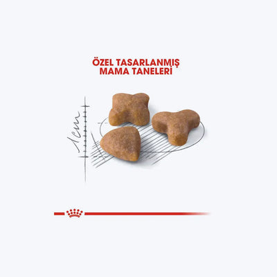 Royal Canin Sensible 33 Hassas Sindirim Sistemli Yetişkin Kedi Maması