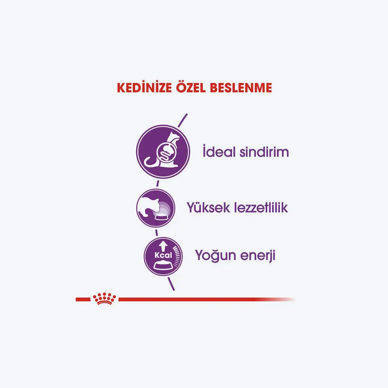 Royal Canin Sensible 33 Hassas Sindirim Sistemli Yetişkin Kedi Maması
