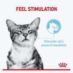 Royal Canin Sensory Feel Gravy Yetişkin Kedi Yaş Maması