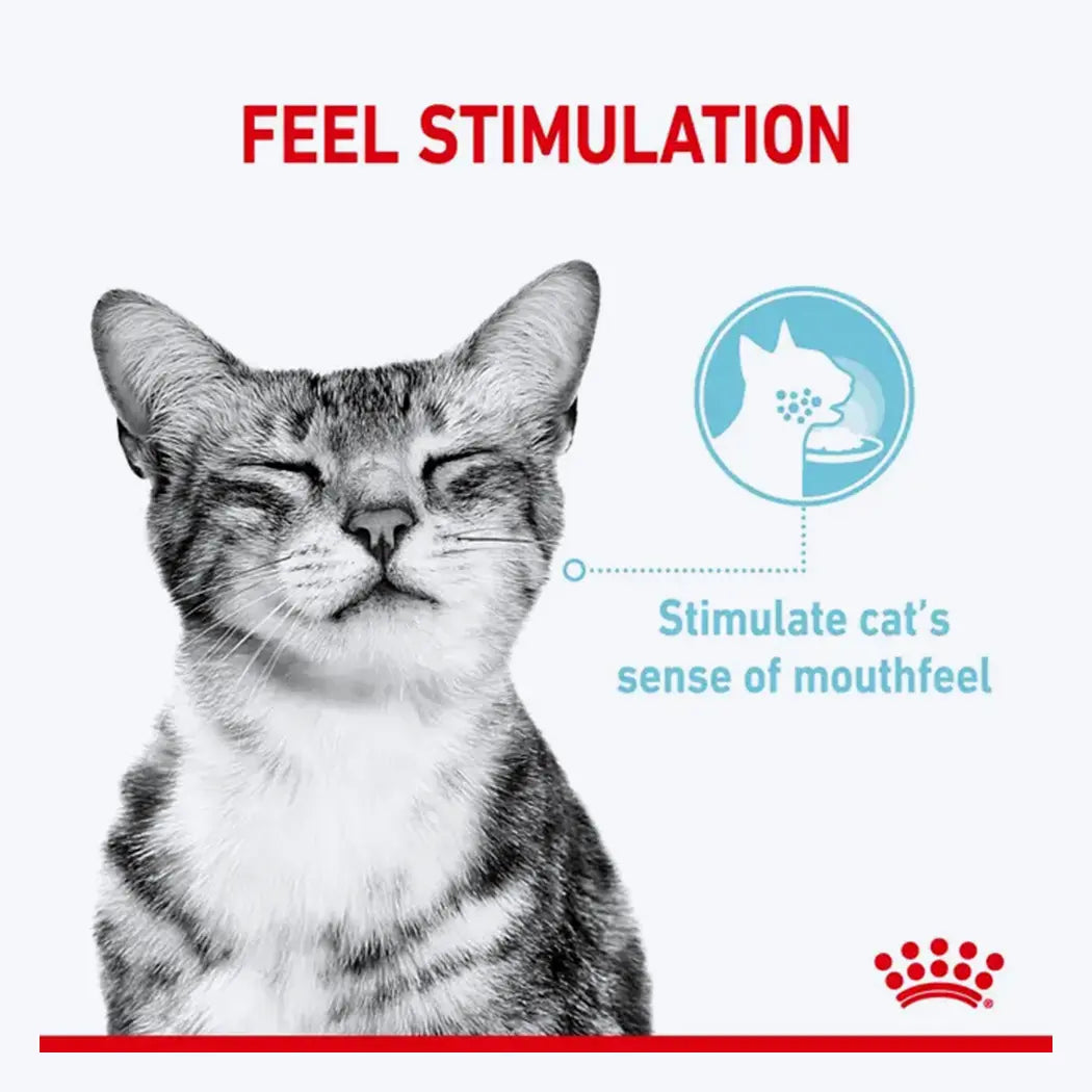 Royal Canin Sensory Feel Gravy Yetişkin Kedi Yaş Maması
