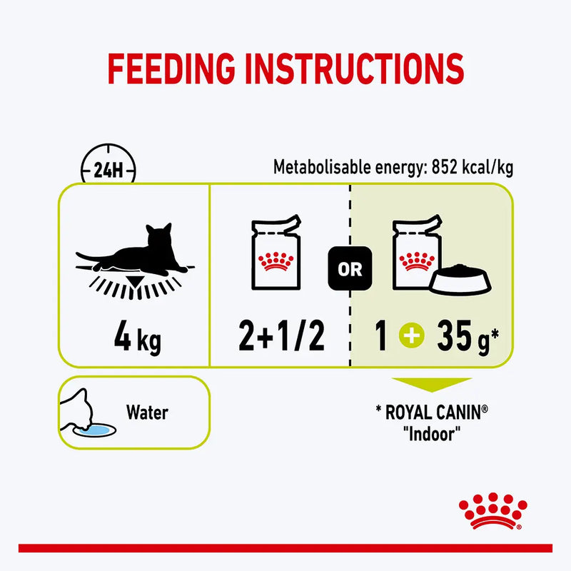 Royal Canin Sensory Smell Gravy Yetişkin Kedi Yaş Maması