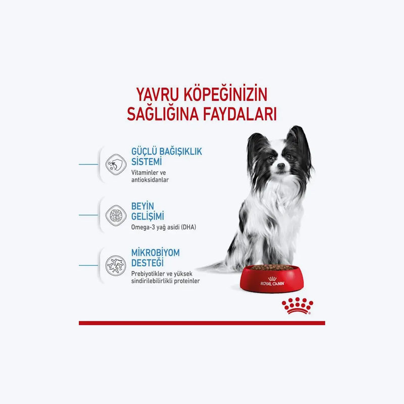 Royal Canin X-Small