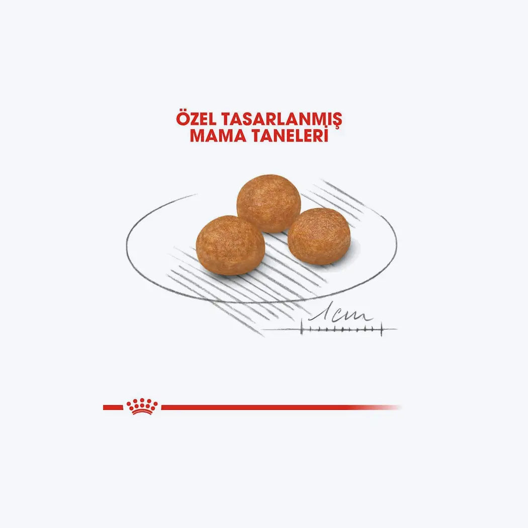 Royal Canin X-Small Adult